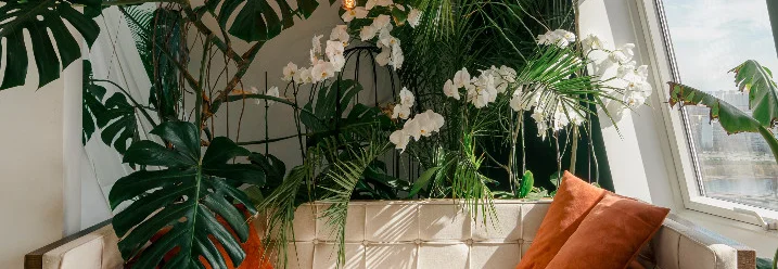 Helles Sofa mit vielen Pflanzen